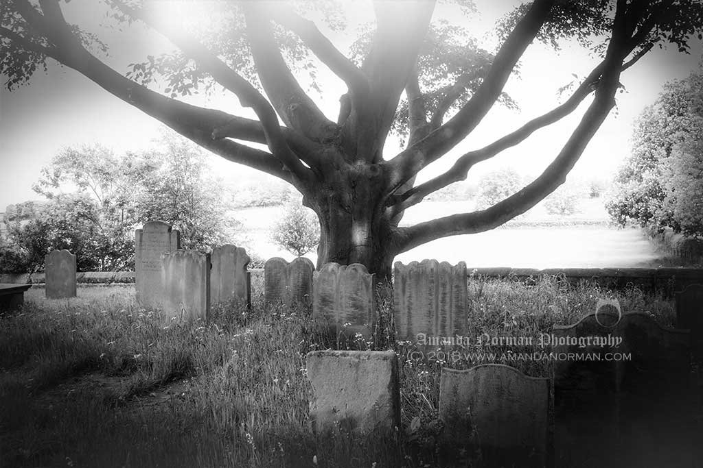 Tree of Arms