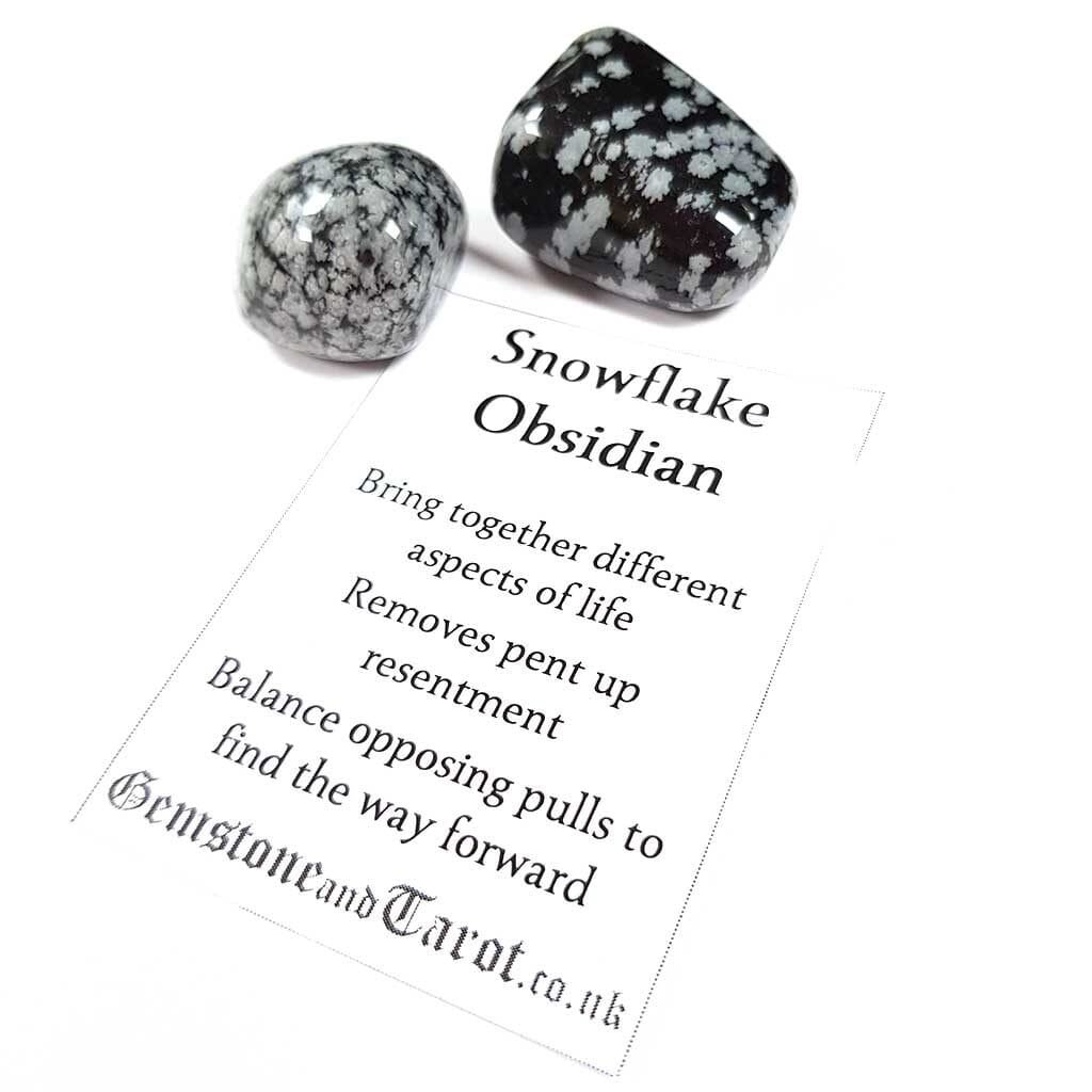 Snowflake to bring reason and logic