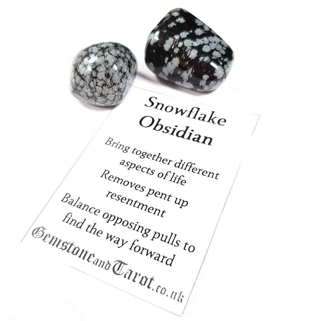 Snowflake to bring reason and logic