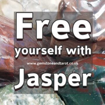 Jasper is a Must Have!