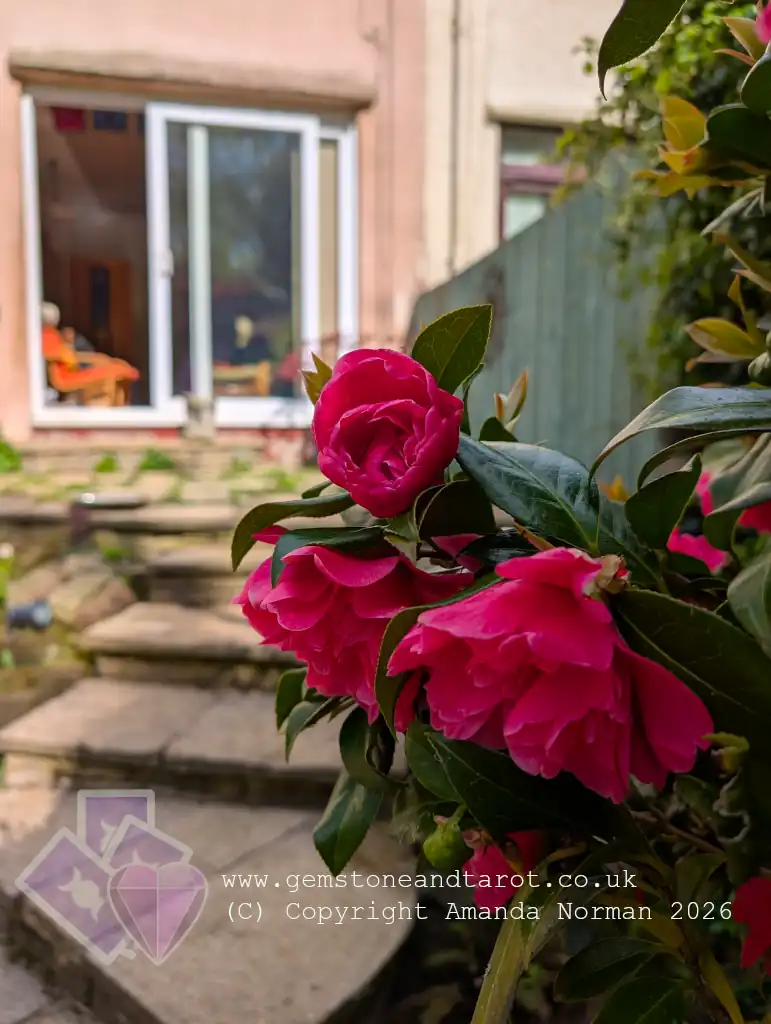 Amanda's healing space in Liverpool